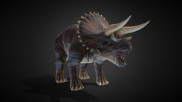 Triceratops