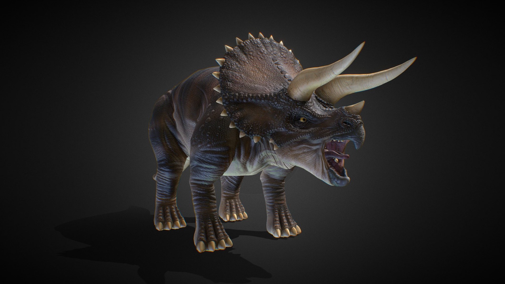 Triceratops 3d model