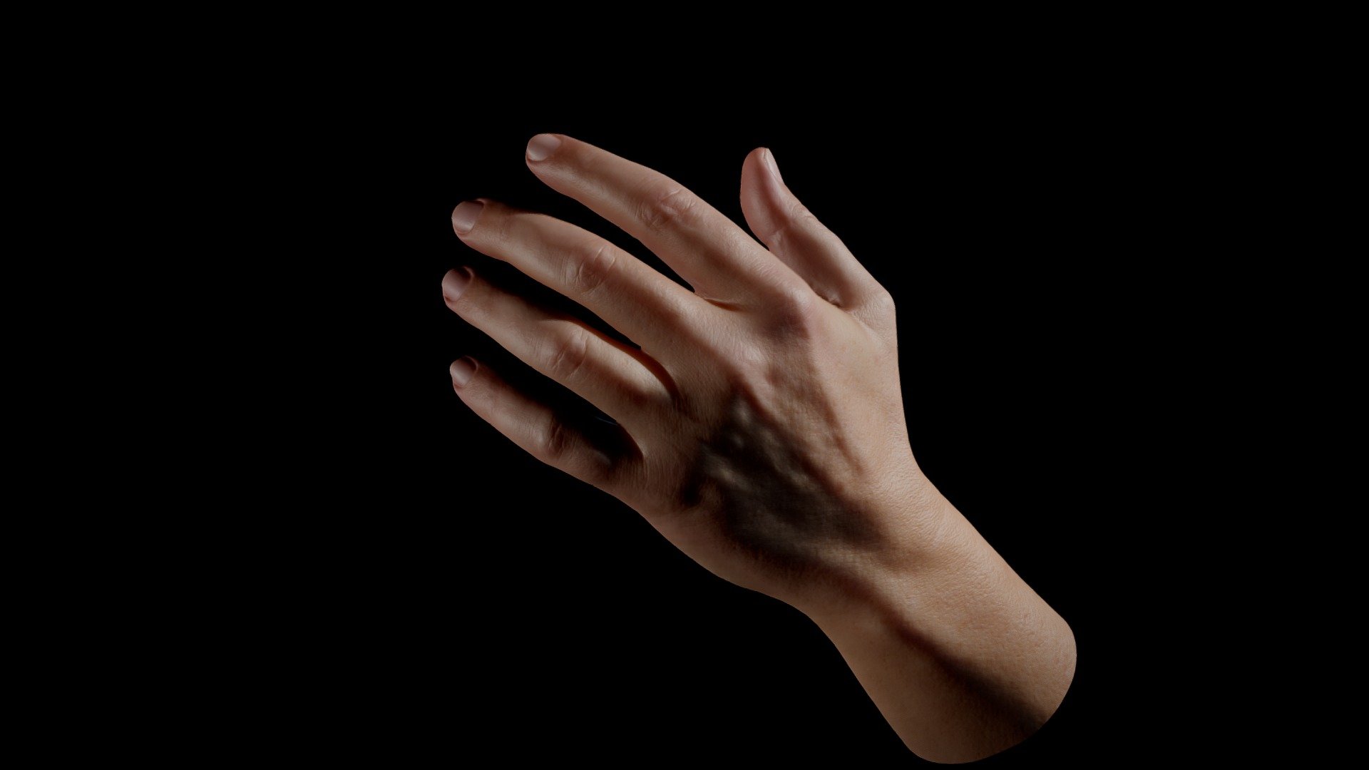 Hand subdiv lvl3 3d model