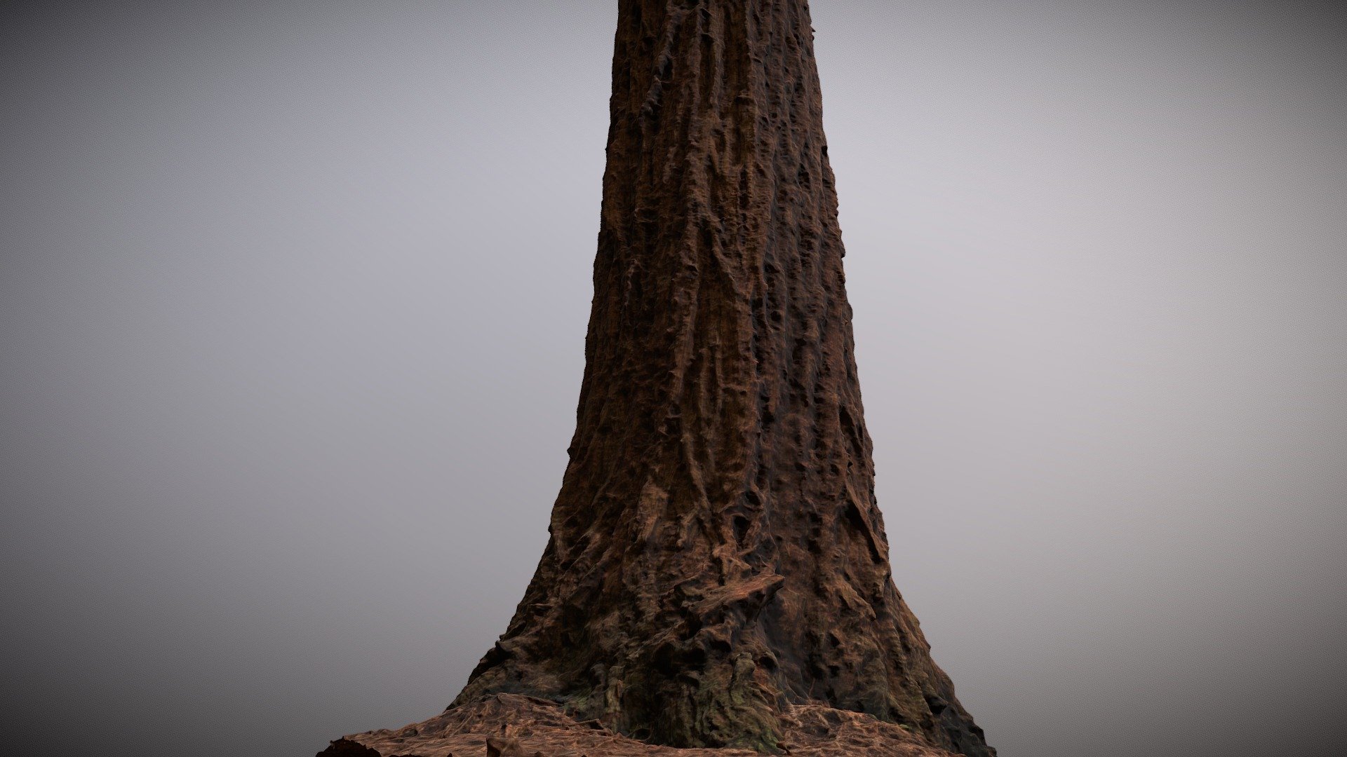 Redwood tree trunk with forest floor base 3d model