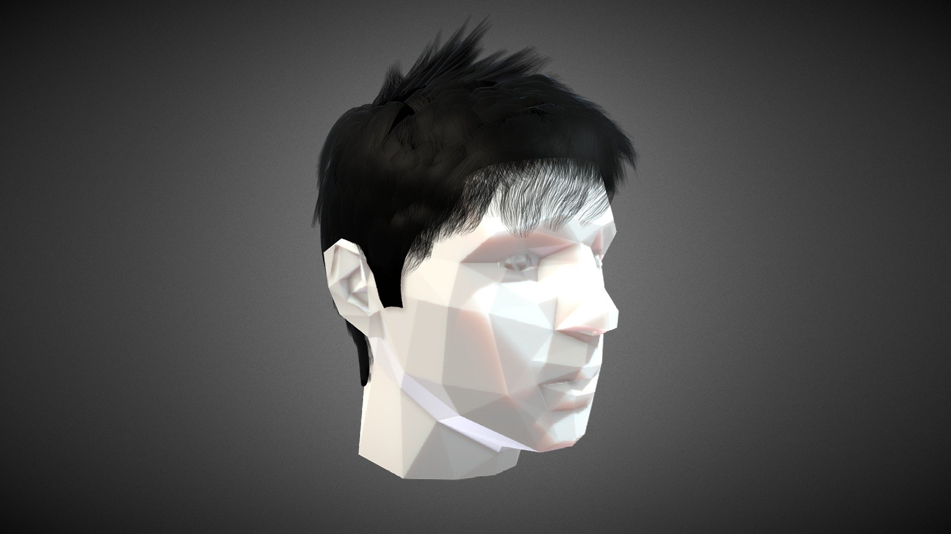 Hair Style 4 3d model