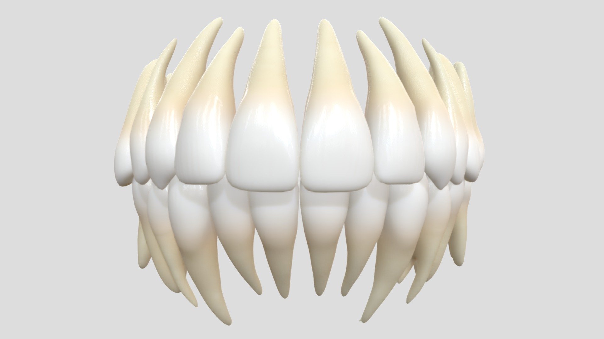 Teeth 3d model