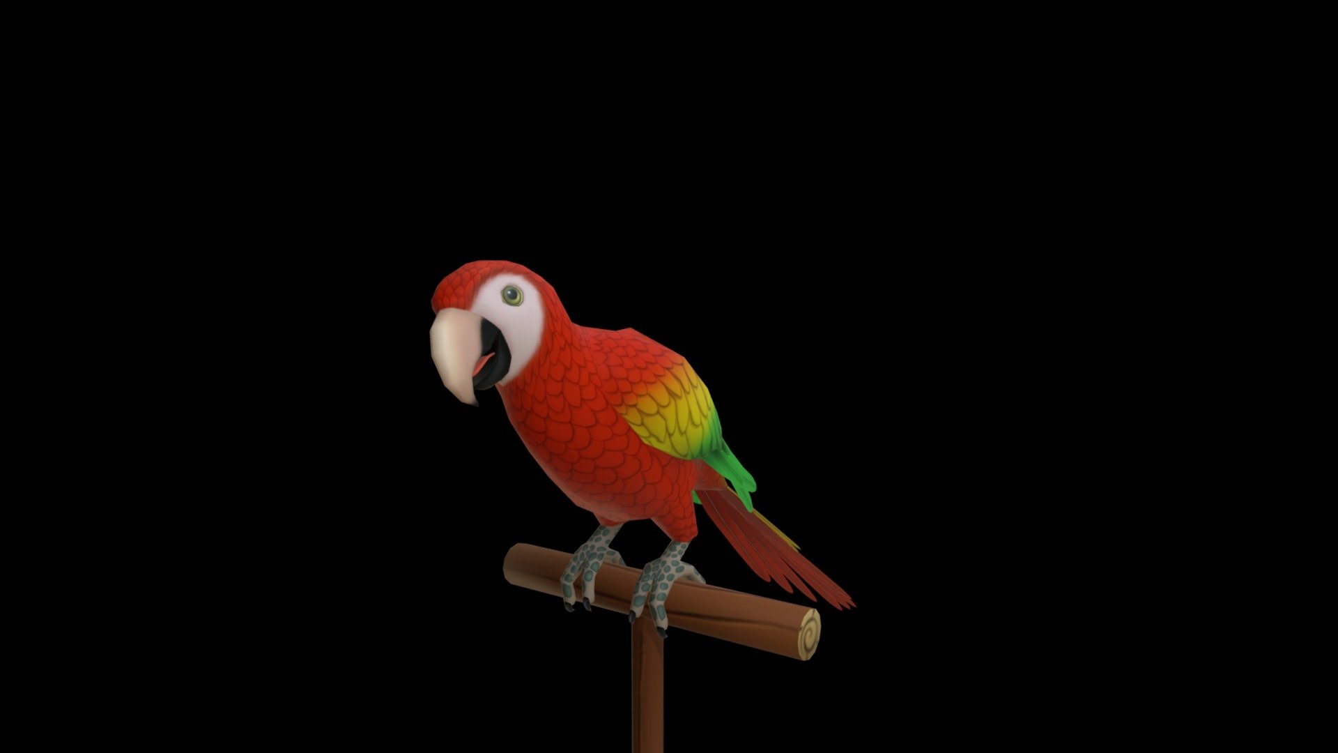 Parrot 3d model