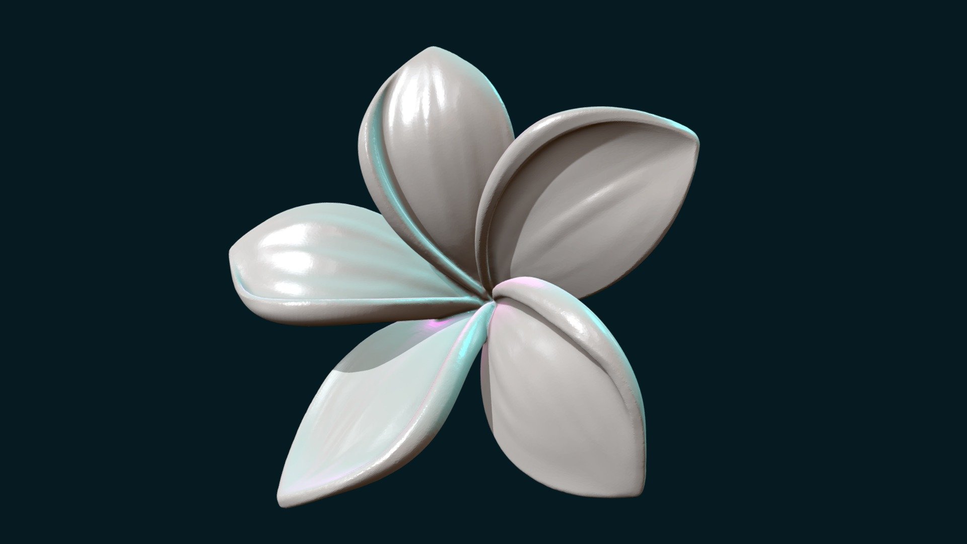 Plumeria Flower 3d model