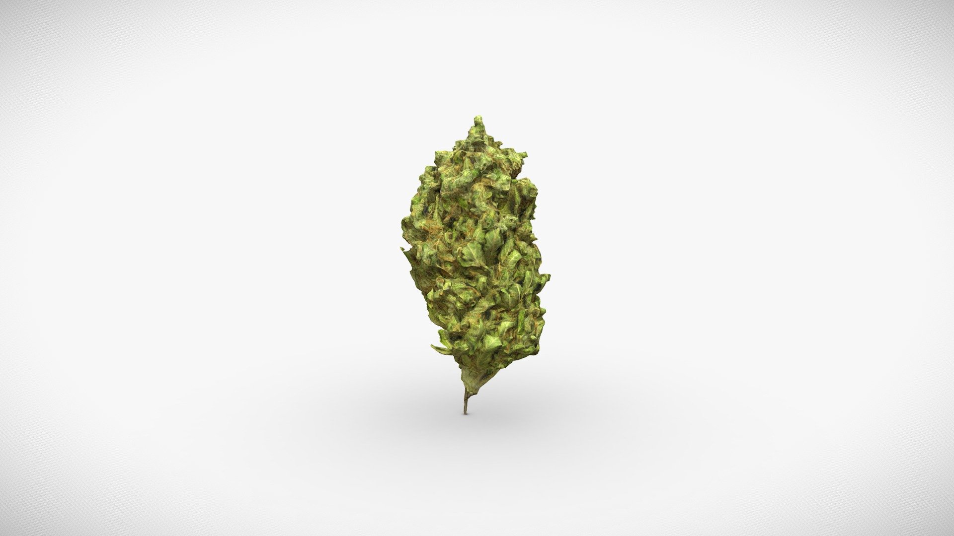 Cannabis Bud 7 3d model