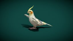 Cockatiel Parrot (Lowpoly)