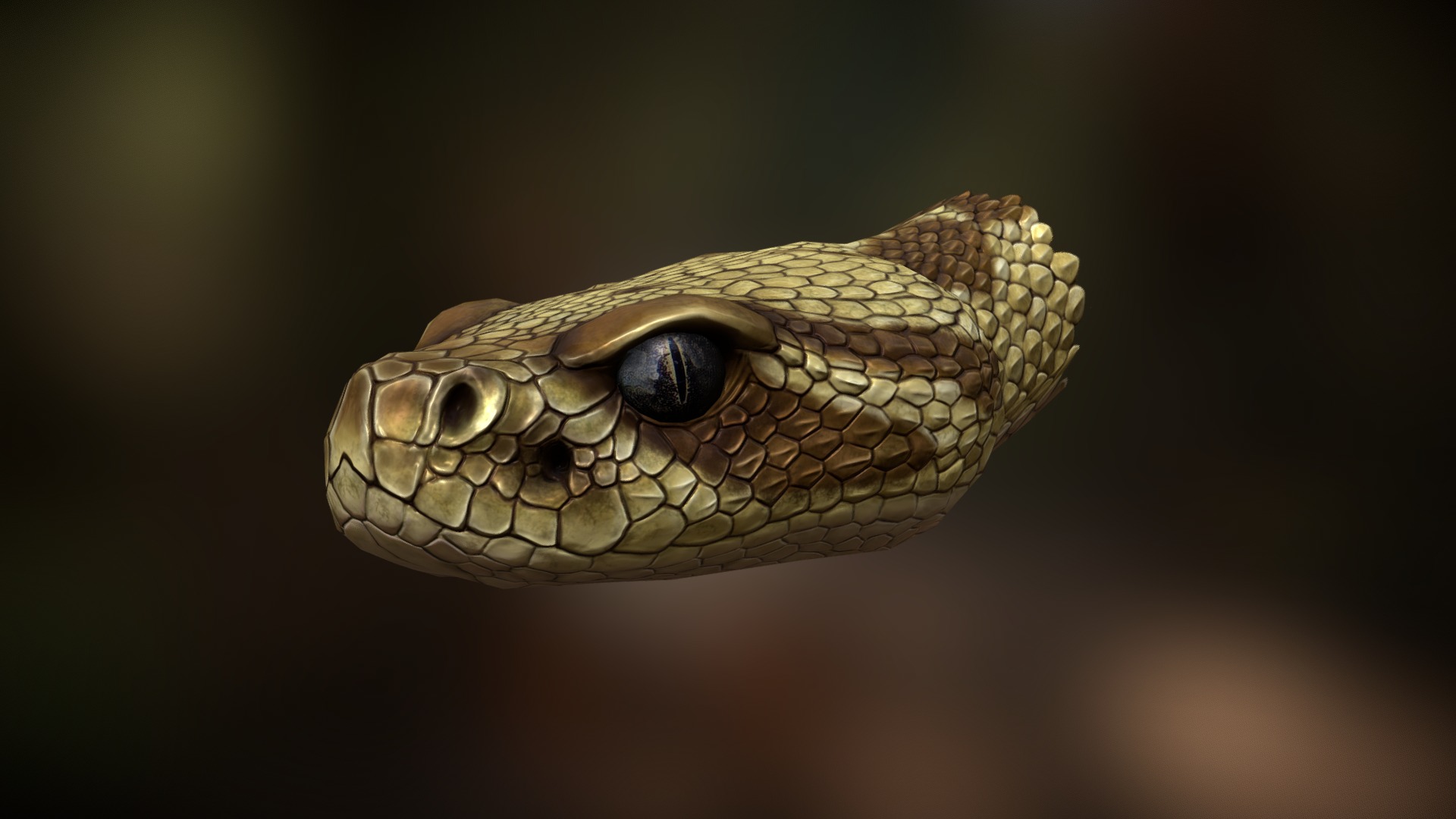 RattleSnake Bust 3d model