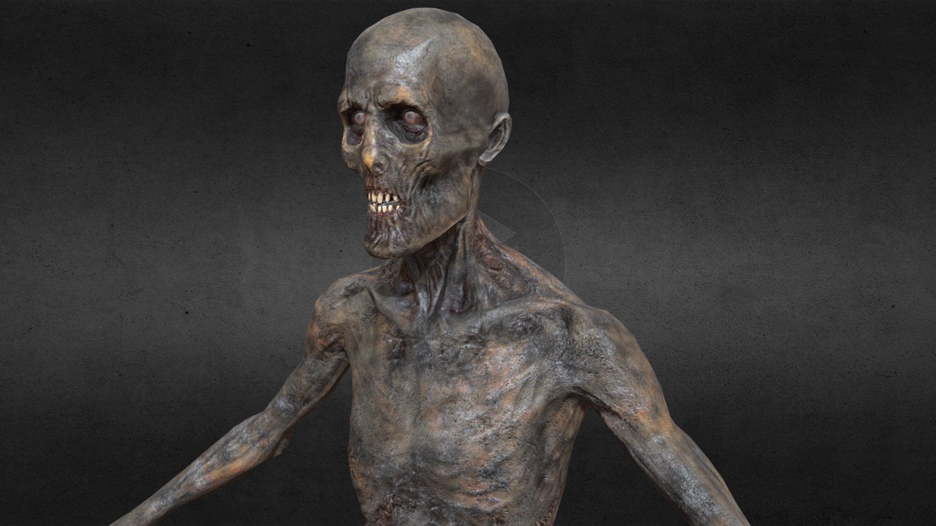 Decayed Zombie E 3d model