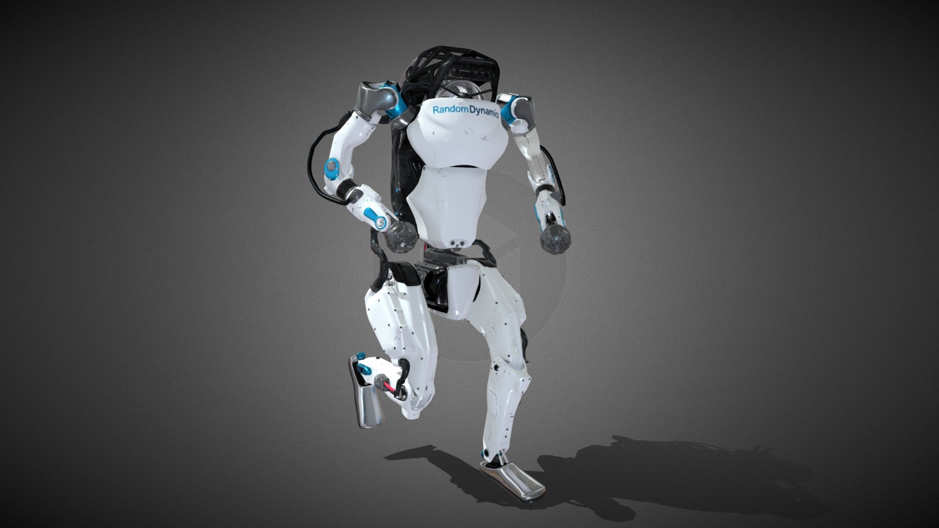 Robot Random Dynamics animated. 3d model