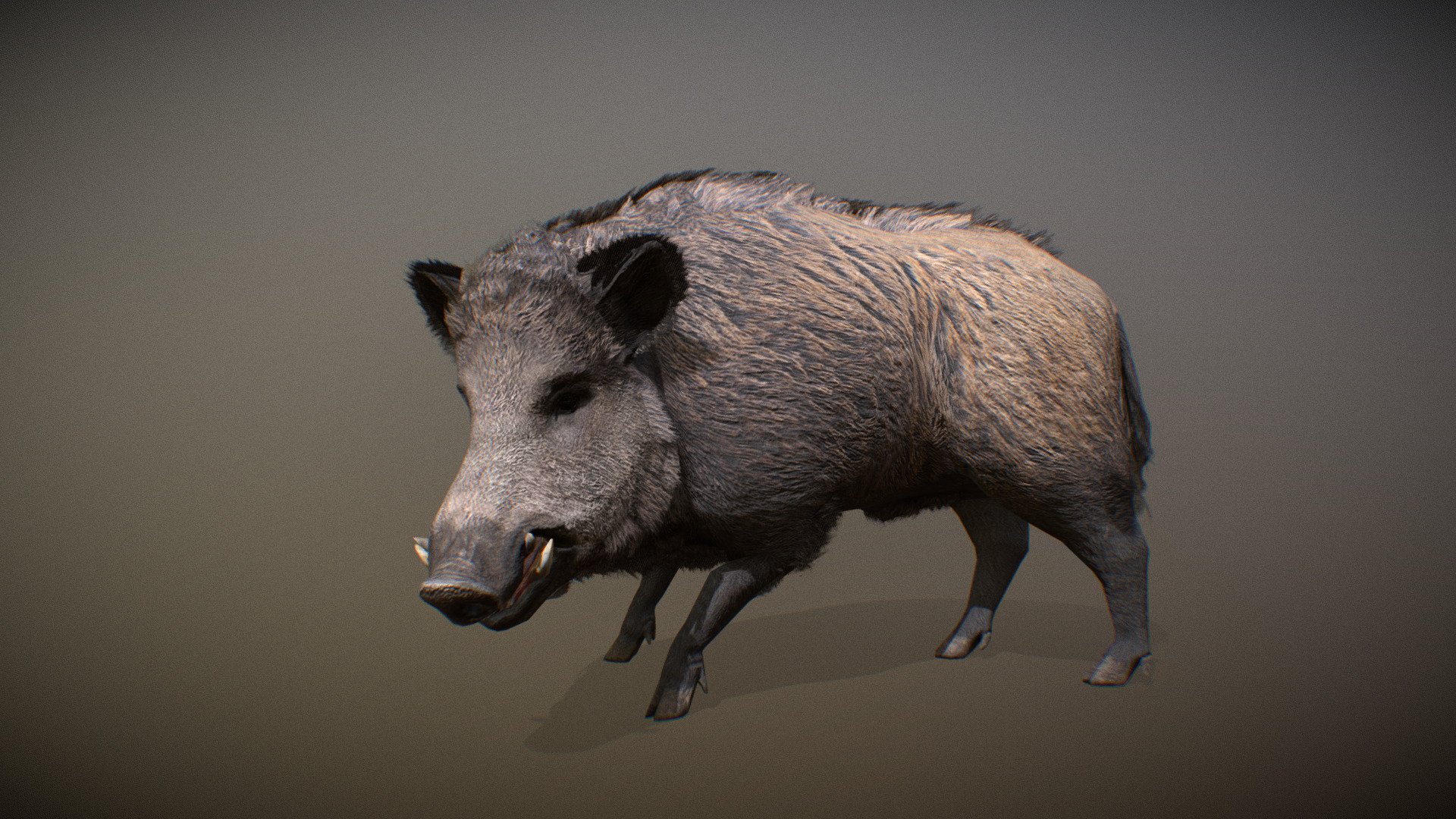 Animalia 3d model