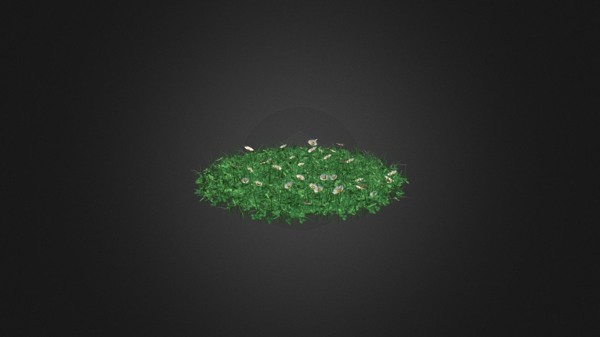 Grass with Clover and Daises 3D Model 3d model