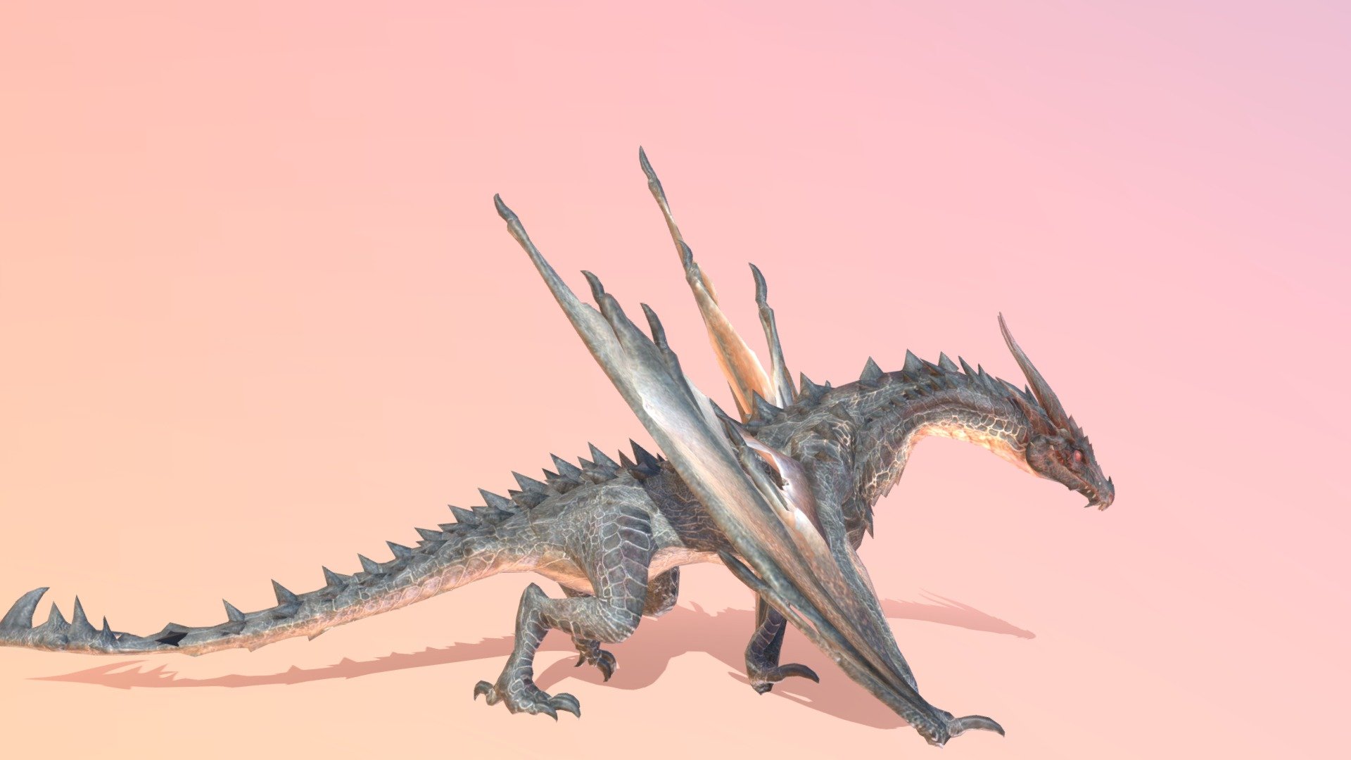 Wyvern Dragon Animated 3d model