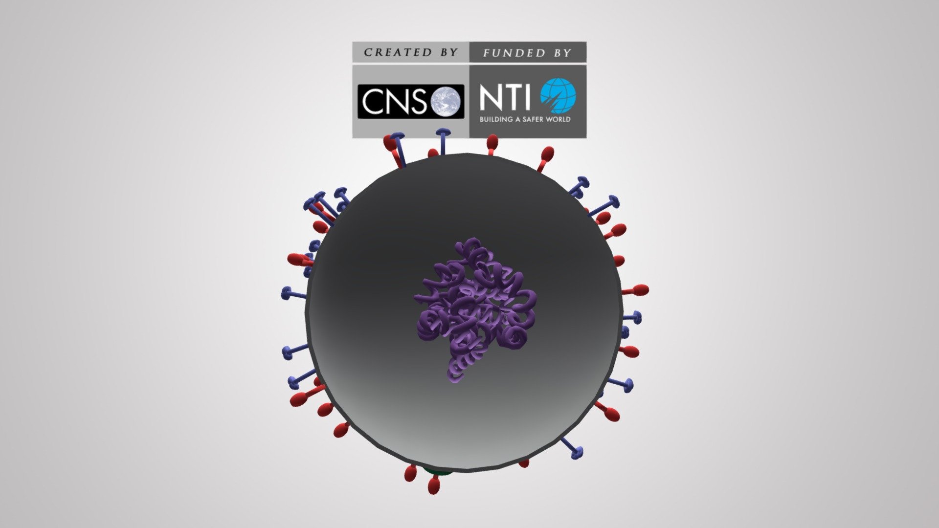 H1N1 Flu Virus 3d model