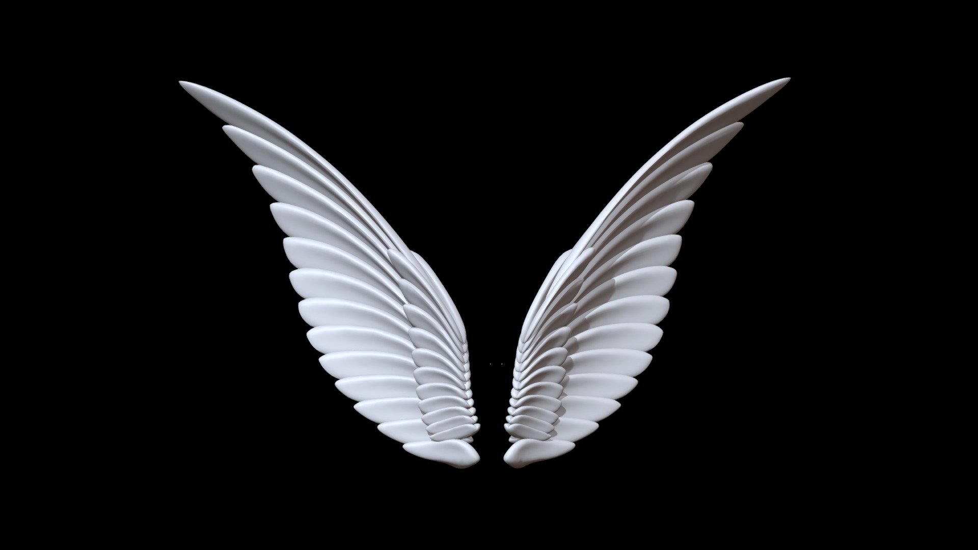 wings 3d model