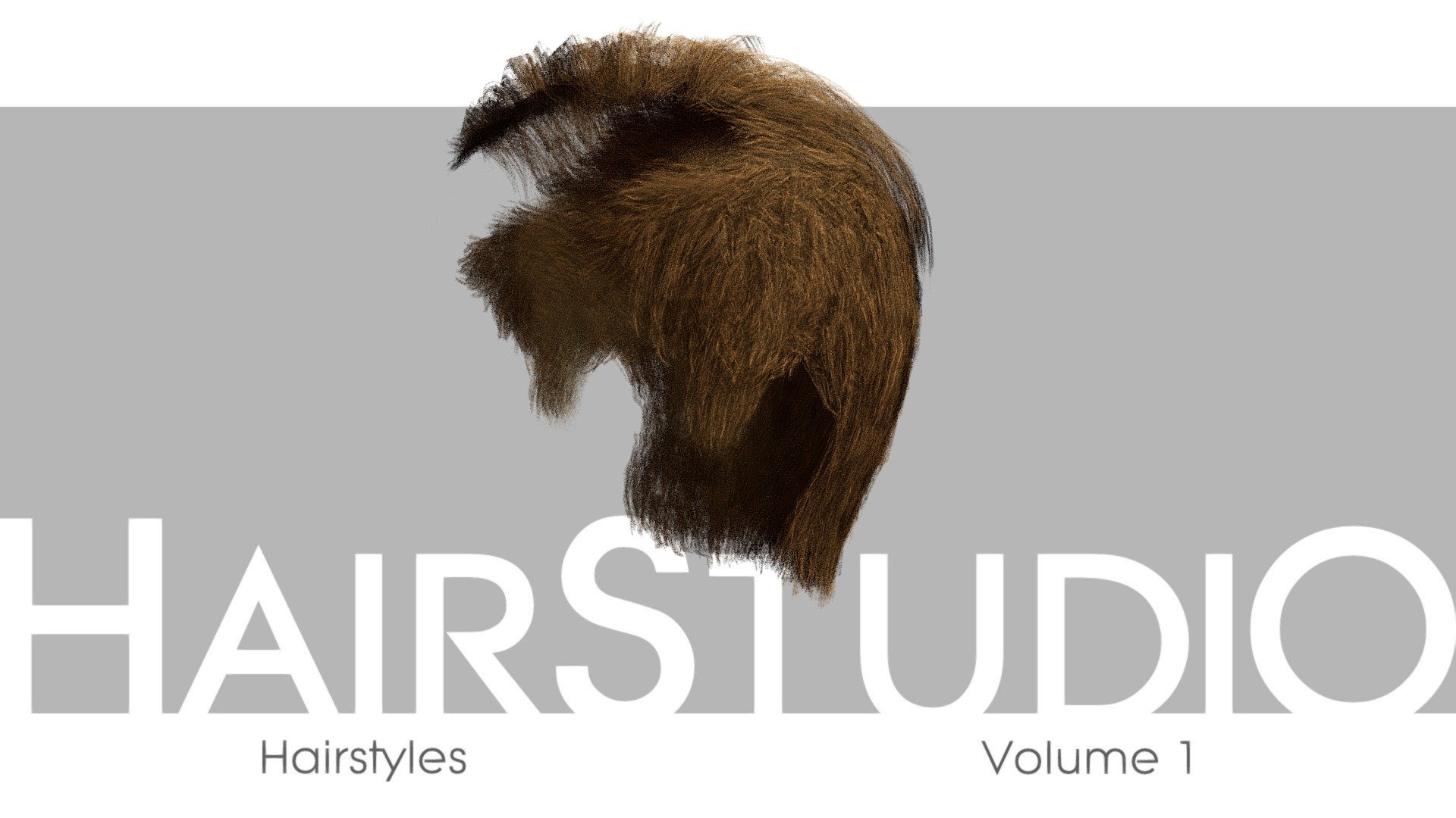 HairStudio Vol.01 3d model