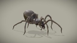 Spider Walk Cycle Animation