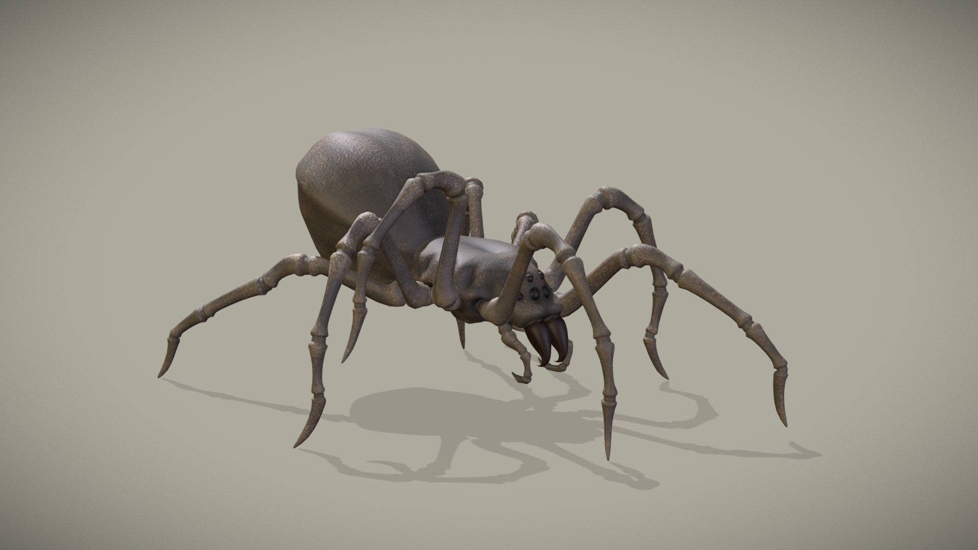 Spider Walk Cycle Animation 3d model