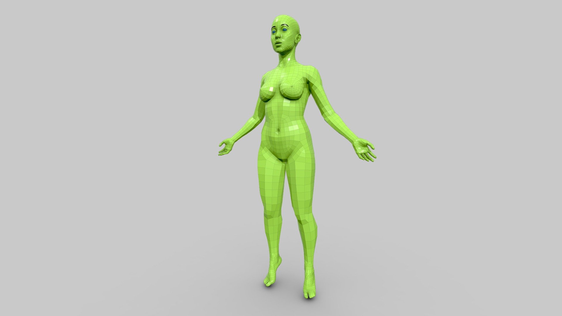 Female Anatomy 3d model