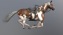 Horse Run cycle