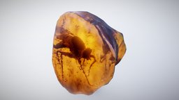 Mosquito in amber