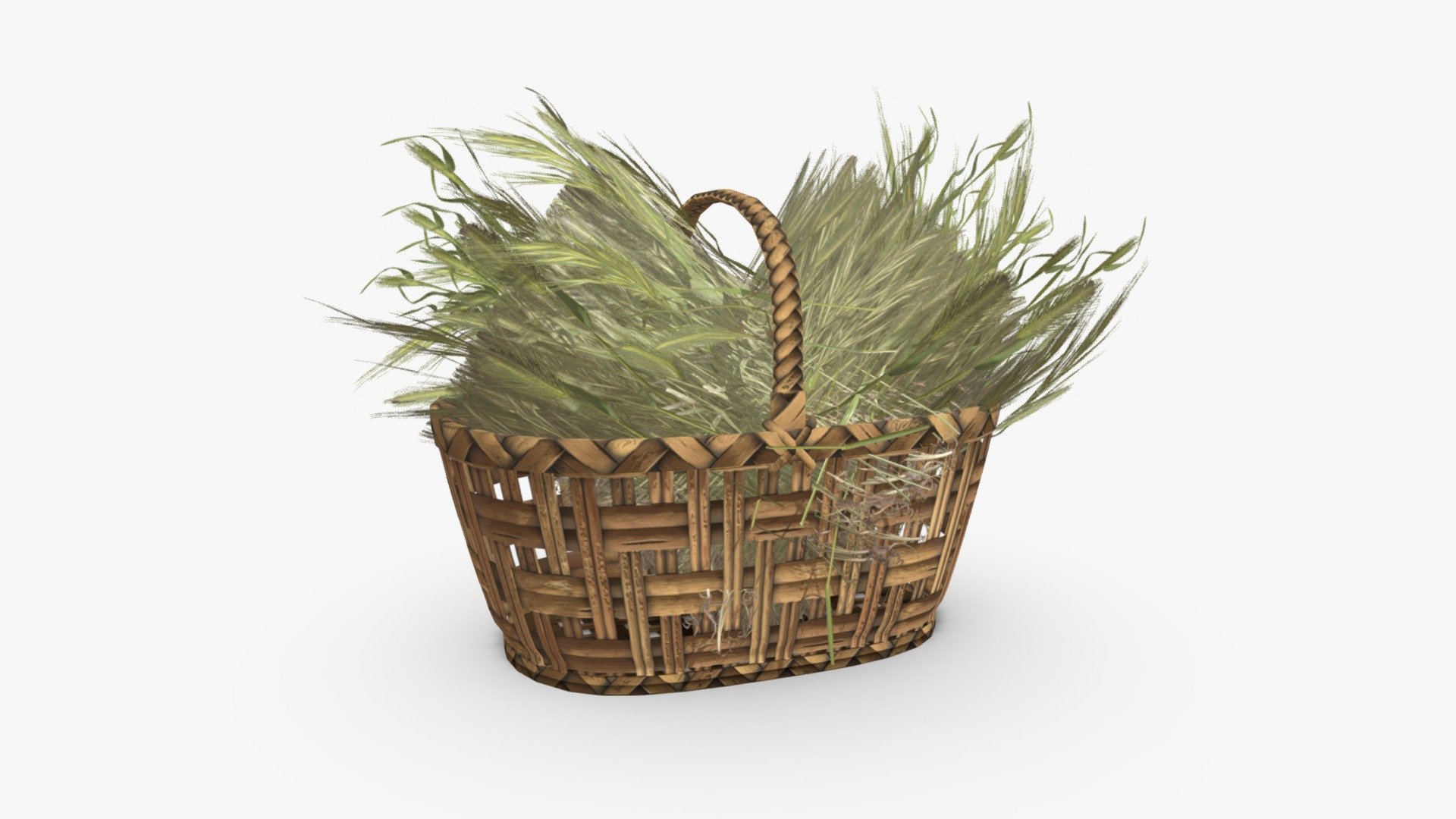 Harvested Barley in a Wicker Basket 3d model