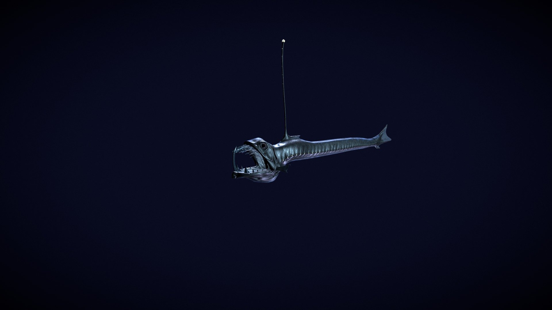 Viperfish2 3d model