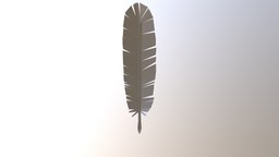 Feather