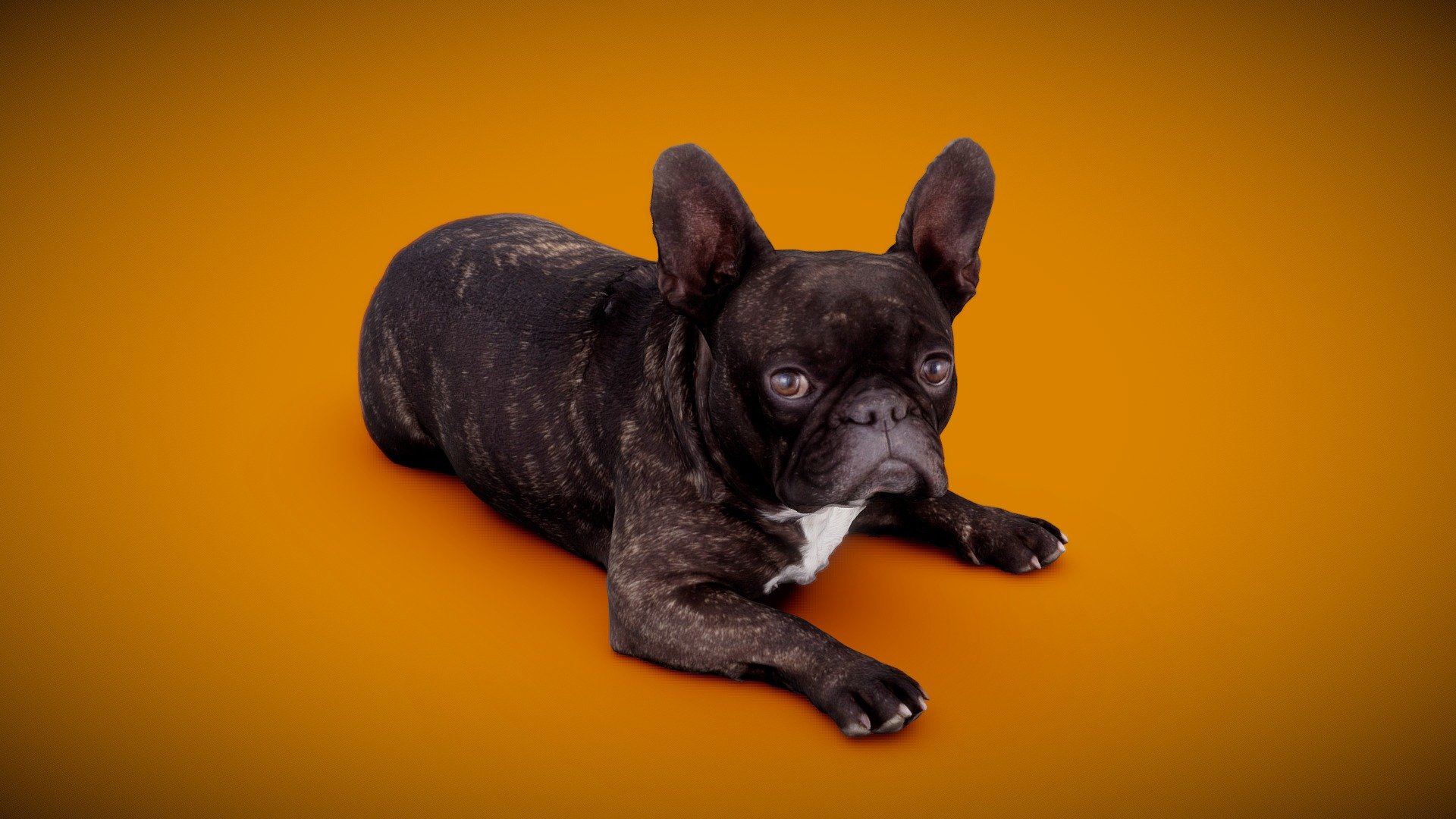 DOG B 3d model