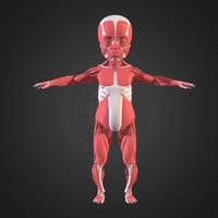 Full Body Baby Underskin