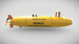 Remus 6000