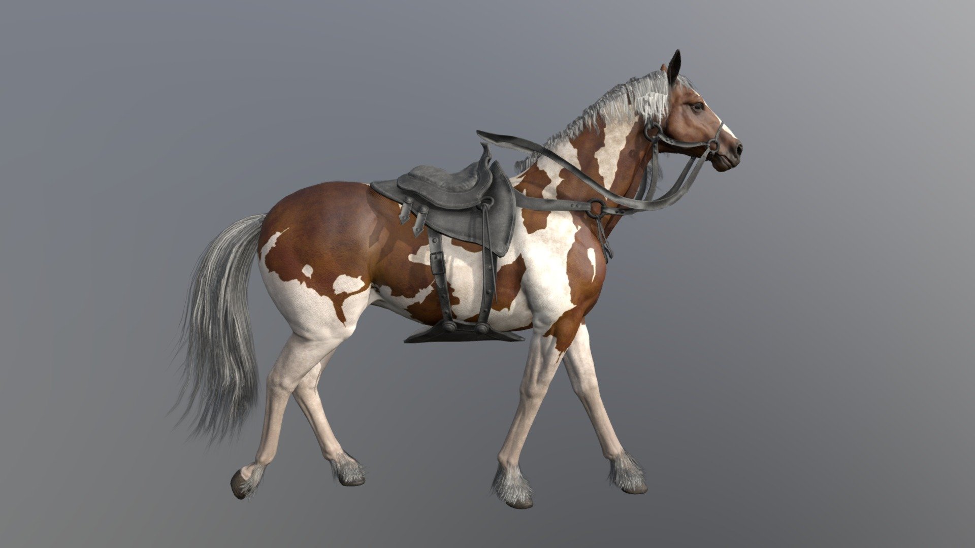 Horse Walk- cycle animated 3d model