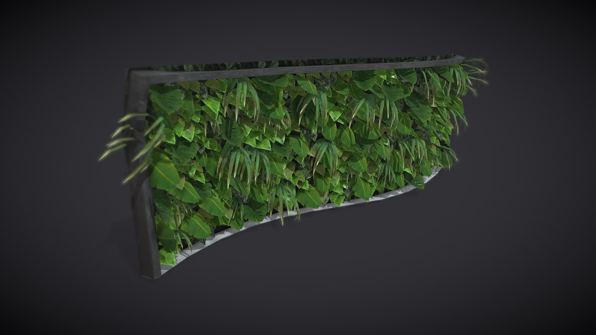 Plant Wall 3d model