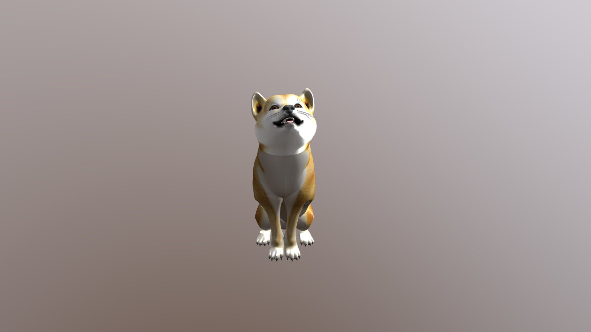 Animated Dog, Shiba Inu 3d model