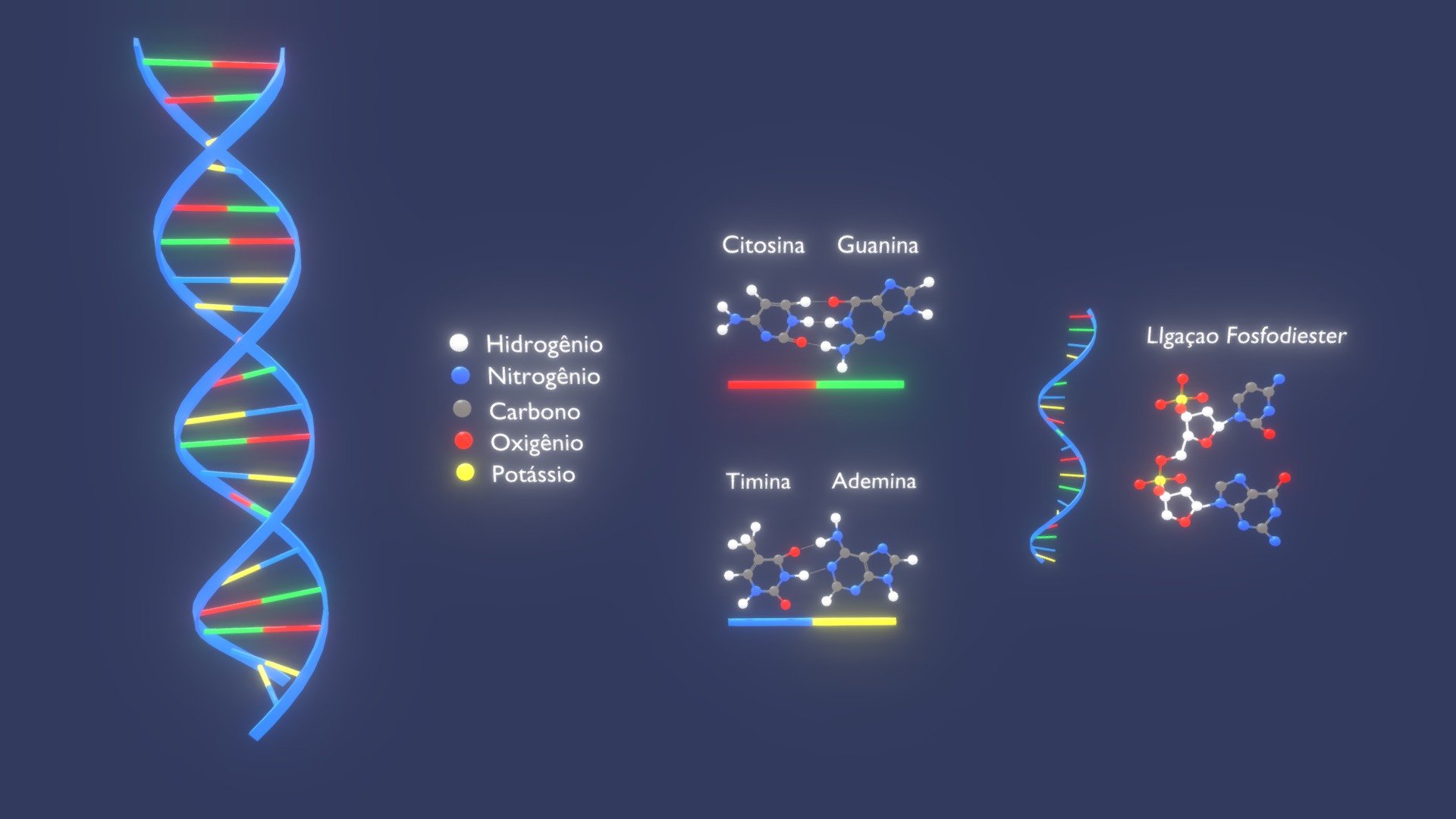 Visão Tridimensional Da Molécula De DNA (456) 3d model