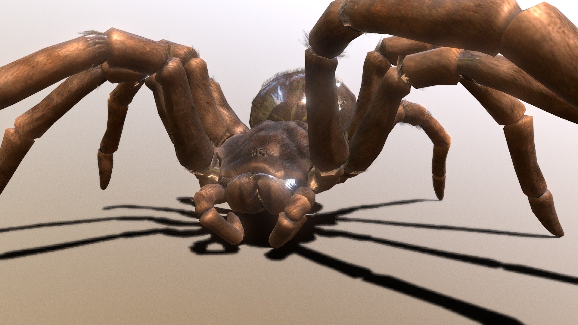 Goliath Birdeater Tarantula 3d model