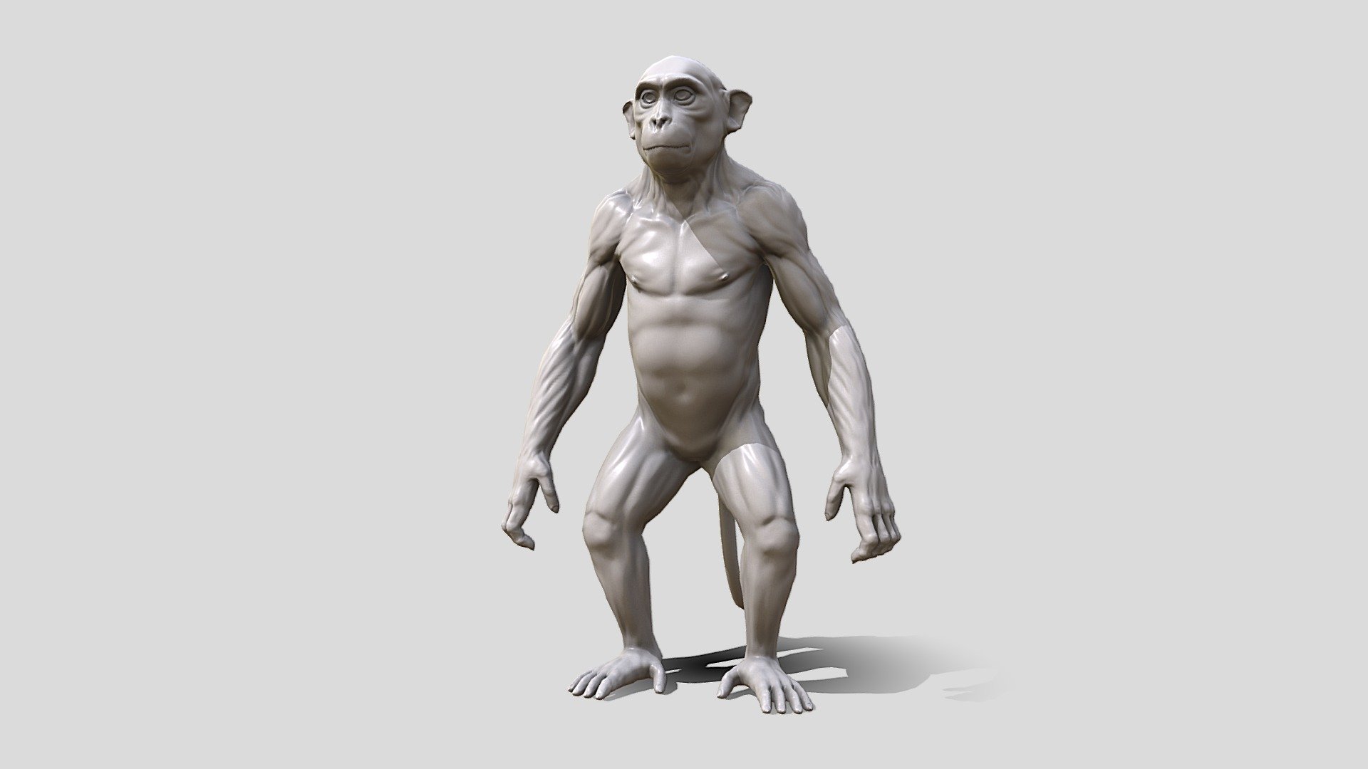 Monkey Sculpt 3d model