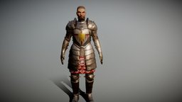 Gothic II Paladin