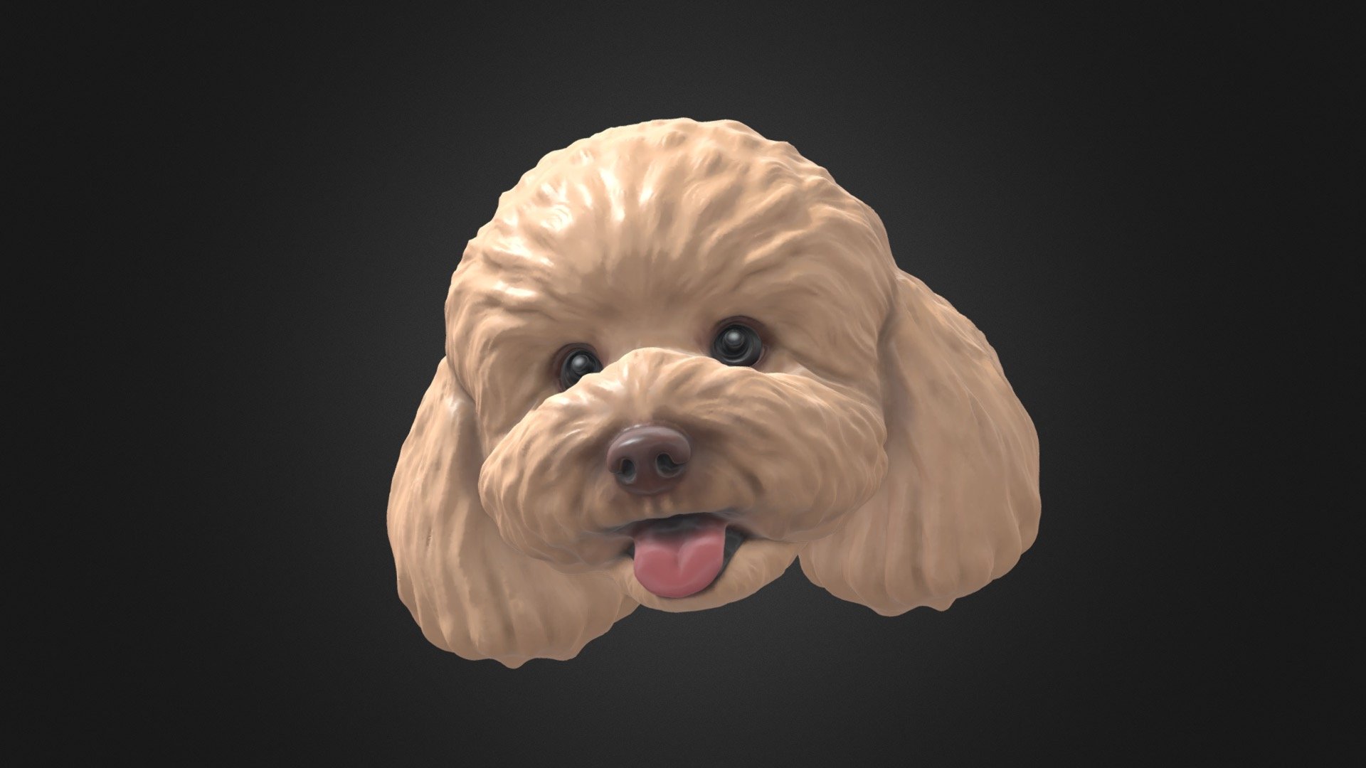 Mandys Poodle model 3d model