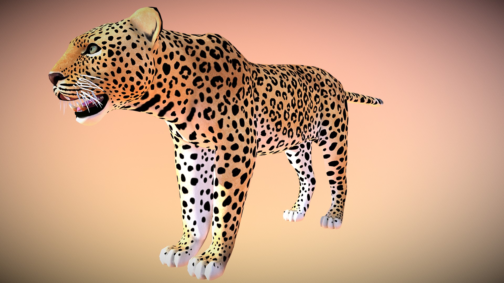 Leopard 3d model