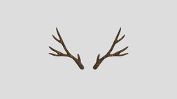 Reindeer Antlers