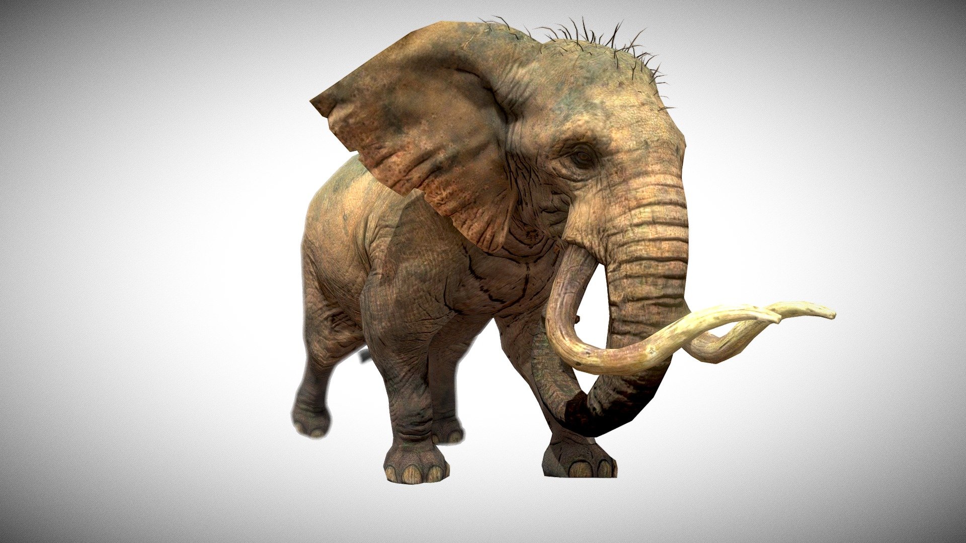 Elephant 3d model