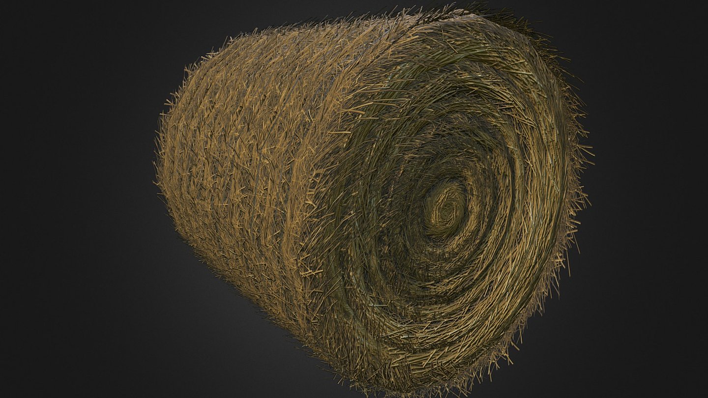 Hayroll 3d model