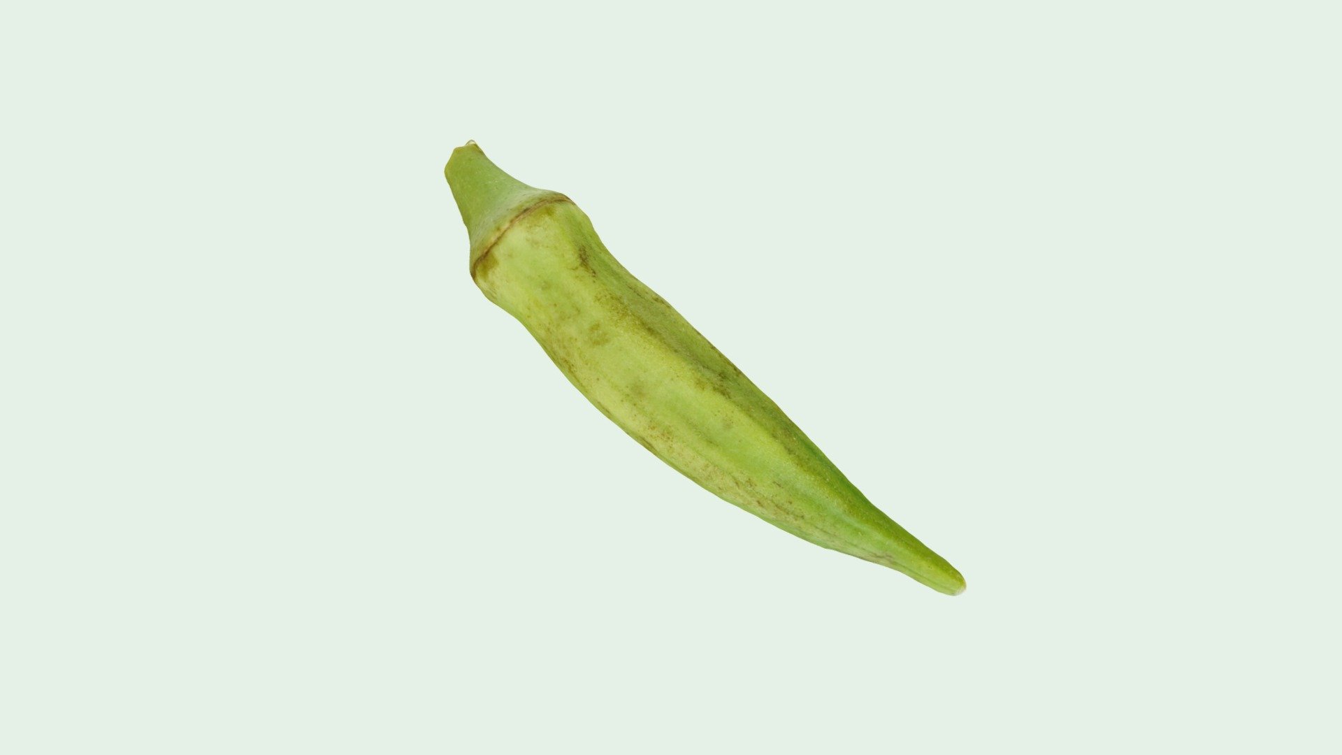 Okra 3d model