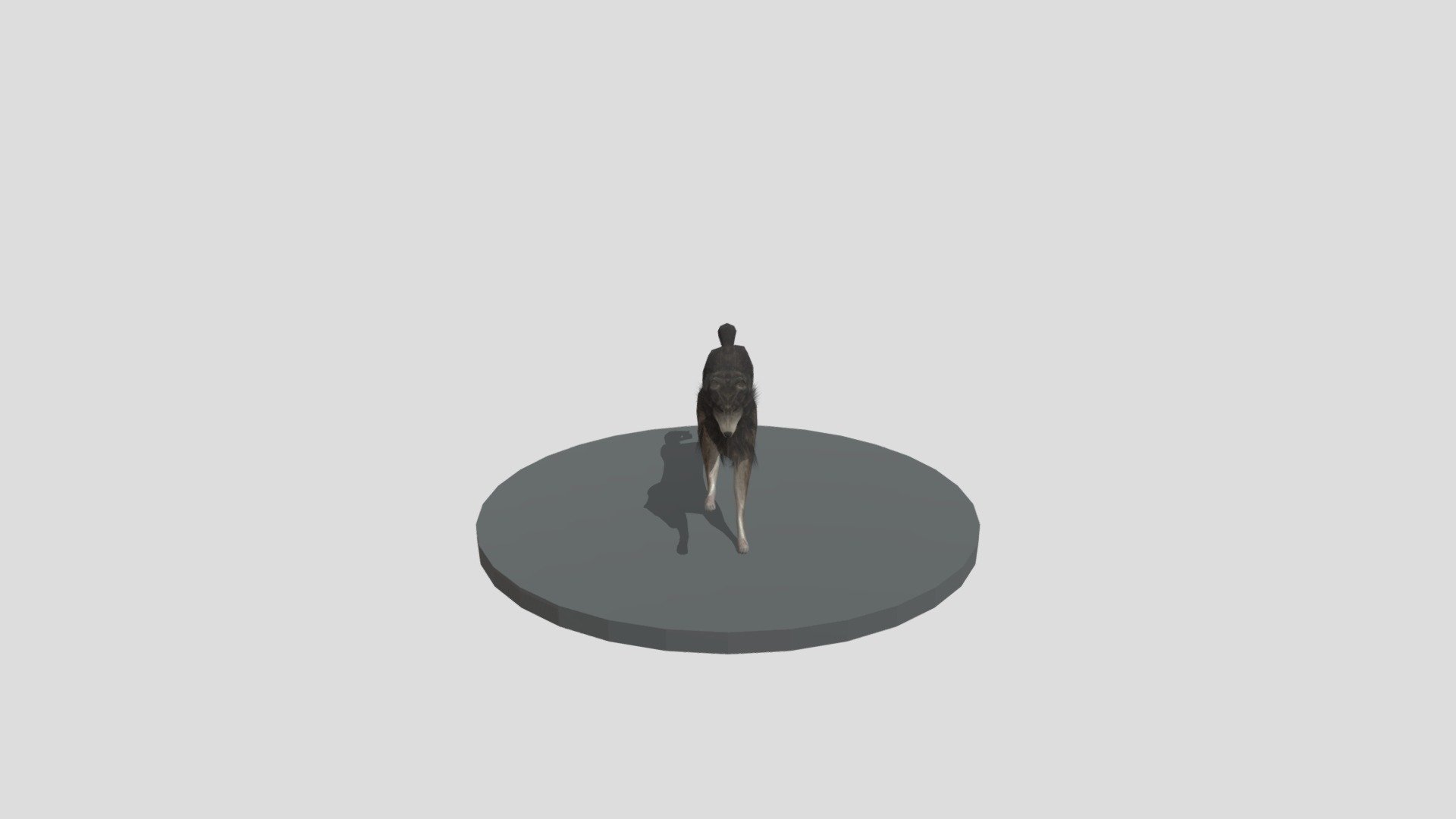 Wolf- Blender 3d model