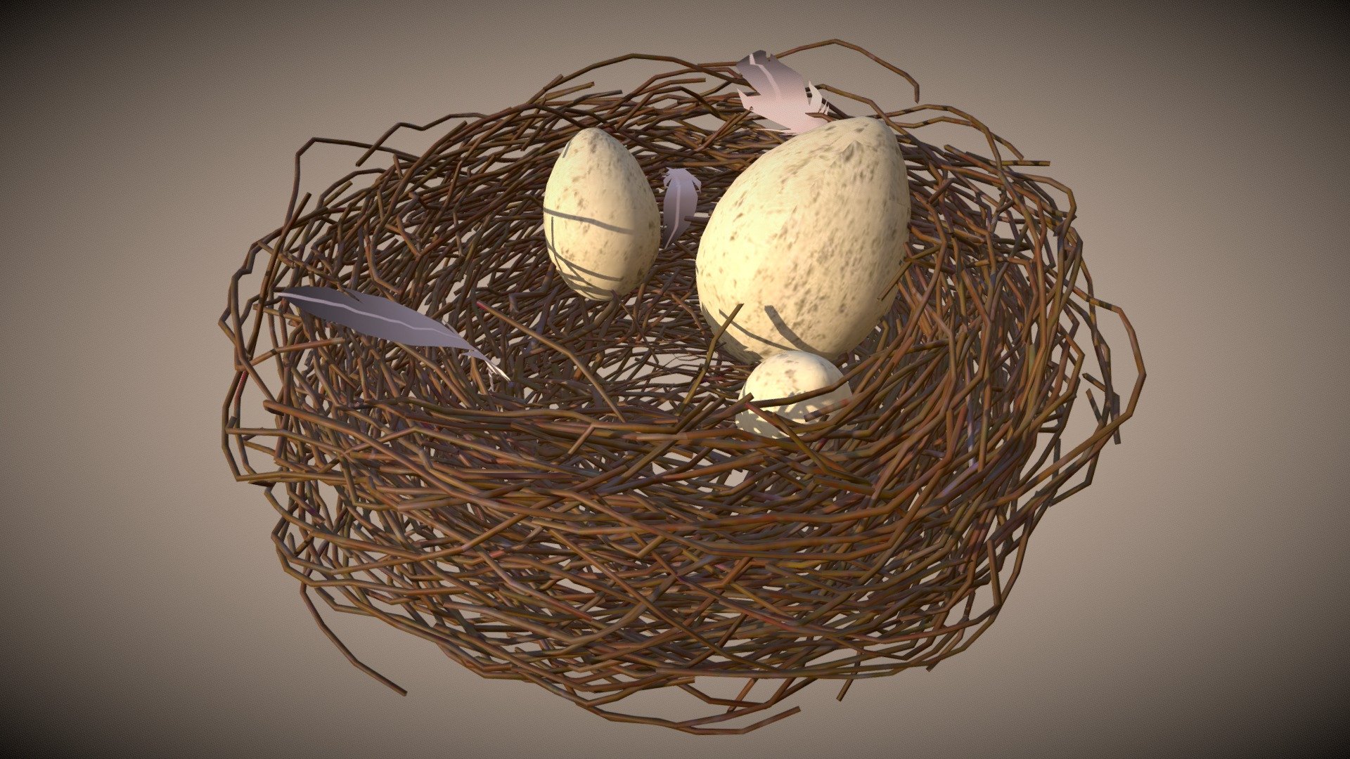 Bird Nest 3d model