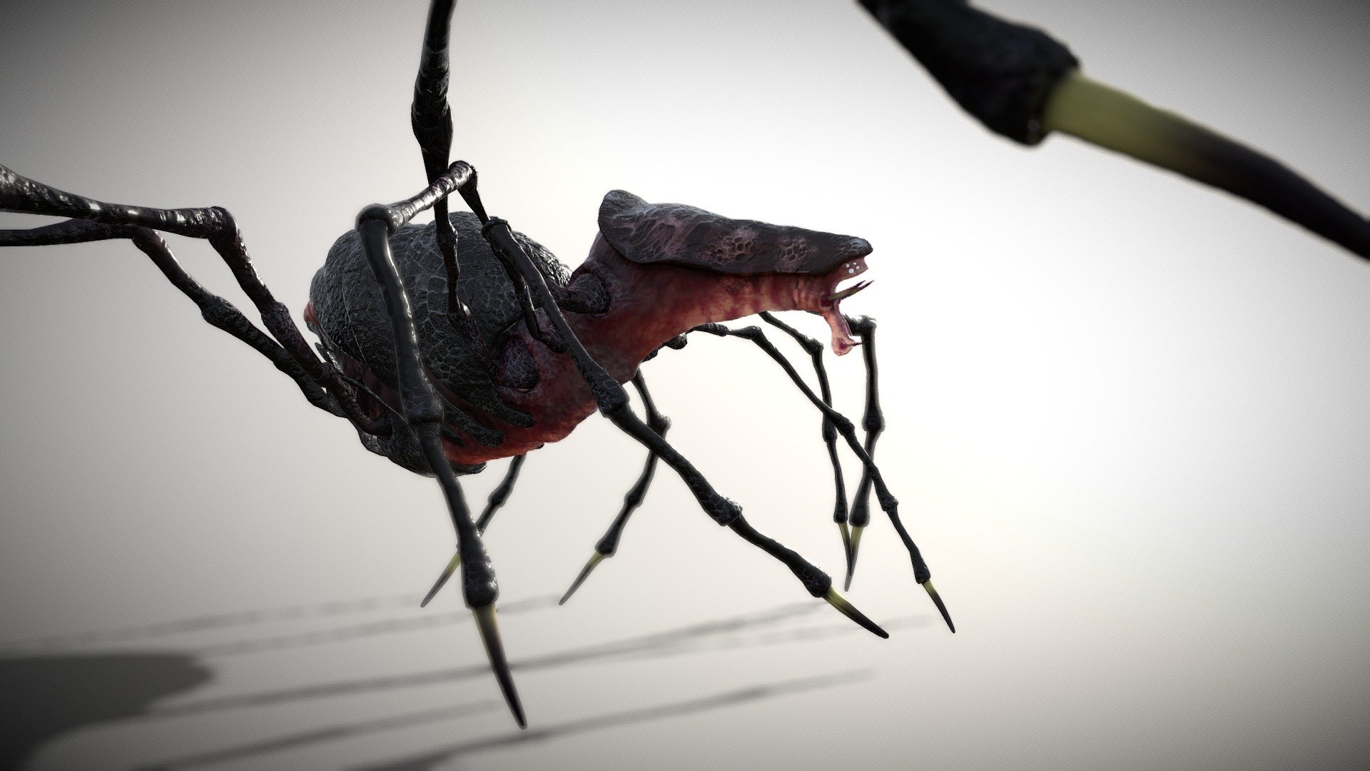 Spiderthing take 3 3d model