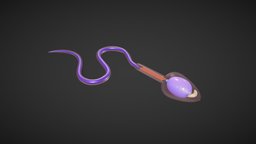 Sperm Cell Anatomy