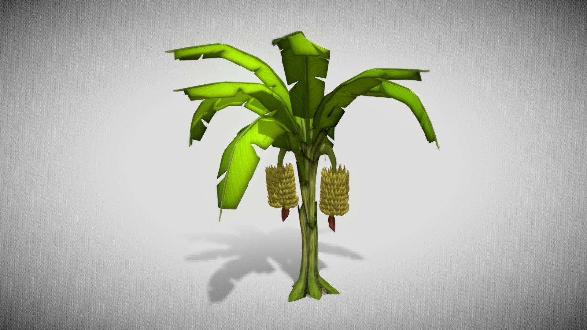 Banana Tree 3d model