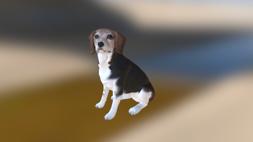 Beagle 3d model