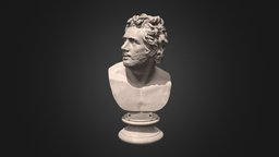 Roman Bust